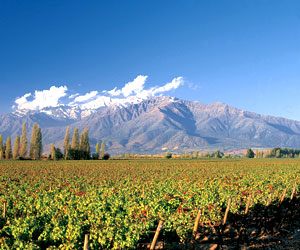 Maipo Valley