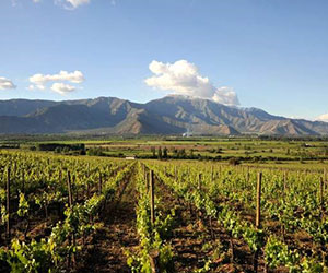beautiful wineries in Chile