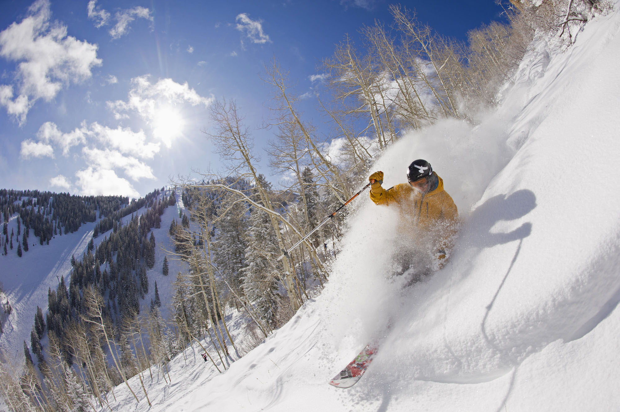 Aspen  Alpine Adventures  Luxury Ski VacationsAlpine 