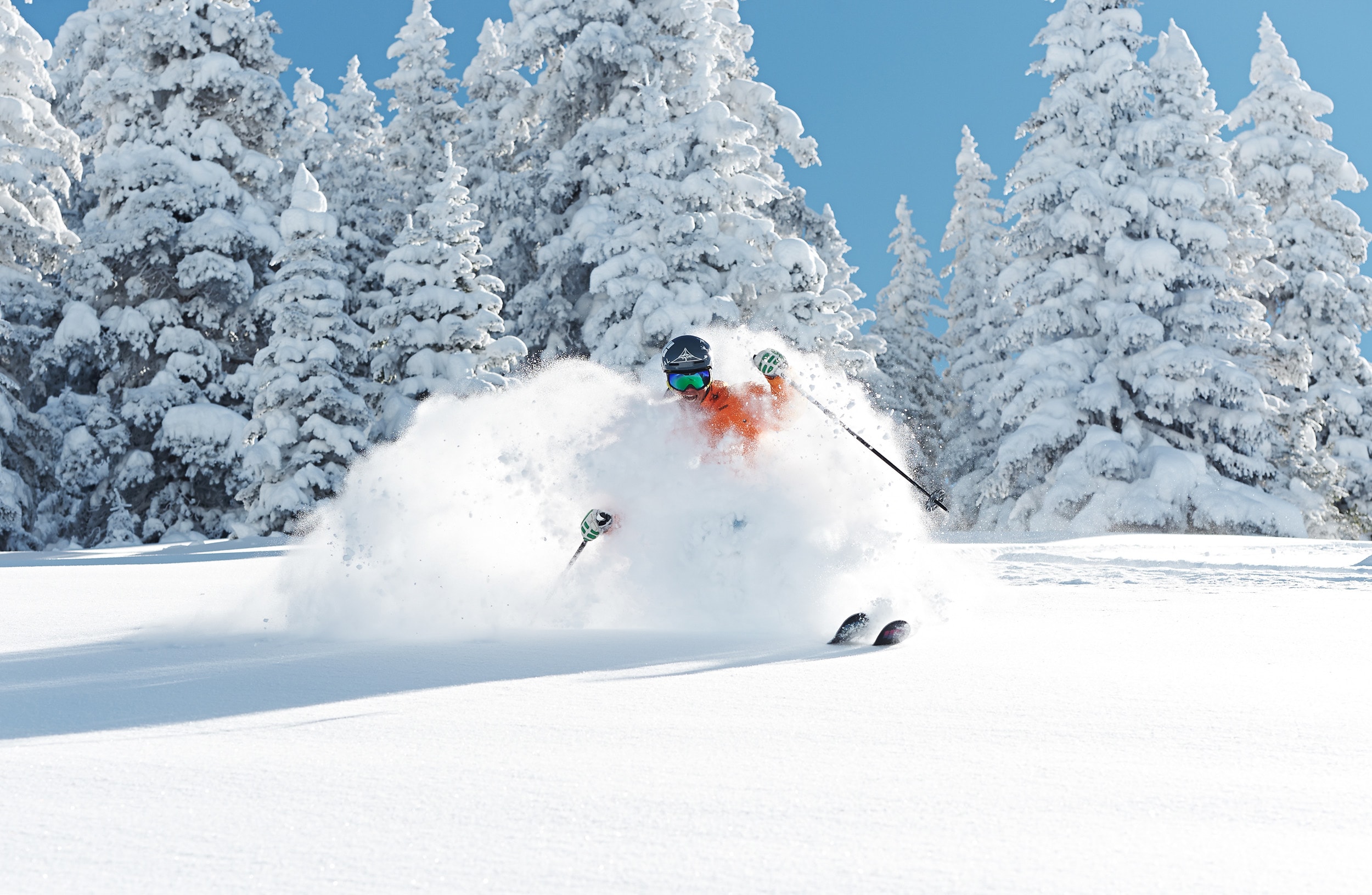 Vail Alpine Adventures Luxury Ski VacationsAlpine Adventures