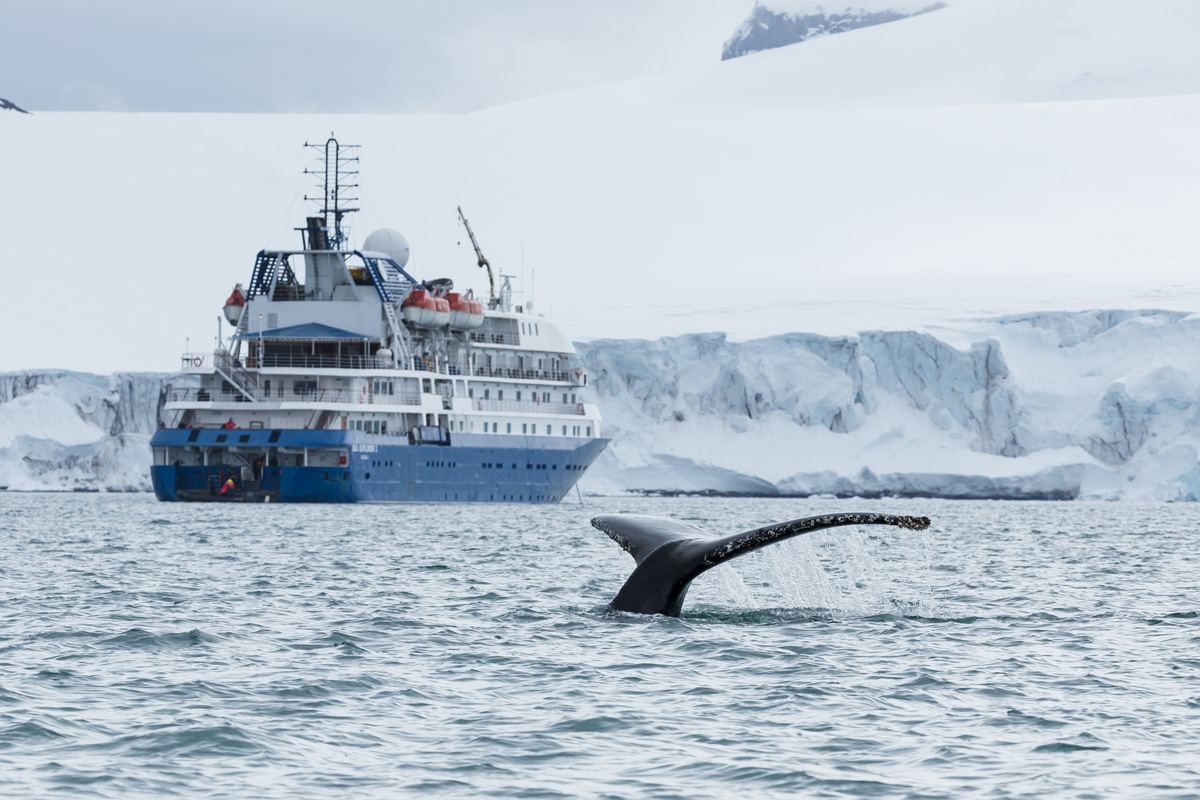 Antarctica Hebridean Sky